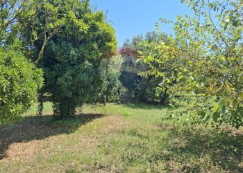 Giardino - Casa indipendente Minturno - foto 48