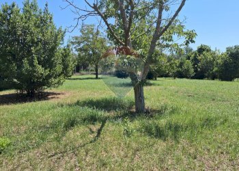 Giardino - Casa indipendente Minturno - foto 52