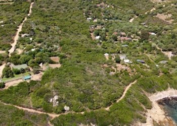 Foto 7 - Agricultural land Orrì, Tortolì - photo 7