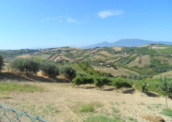 Foto 7 - Rustico Contrada Collelungo
 
17, Monsampolo del Tronto - foto 7