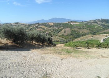 Foto 9 - Rustico Contrada Collelungo
 
17, Monsampolo del Tronto - foto 9