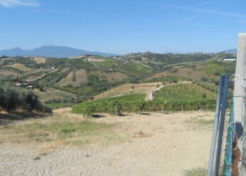 Foto 10 - Rustico Contrada Collelungo
 
17, Monsampolo del Tronto - foto 10