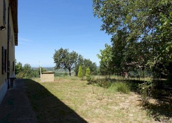 Terreno - Rustico via Umberto I, San Marzano Oliveto - foto 9