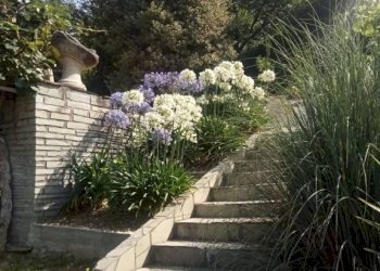 Giardino - Villa Passo della Spinarola, Avegno - foto 8