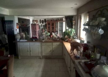 Cucina - Villa Passo della Spinarola, Avegno - foto 11