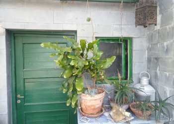 Cortile interno - Villa Passo della Spinarola, Avegno - foto 20