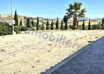 Terreno - Rustico contrada Lisciandrini, Castellammare del Golfo - foto 18