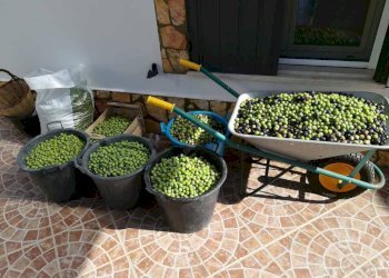 Terreno - Rustico contrada Lisciandrini, Castellammare del Golfo - foto 44