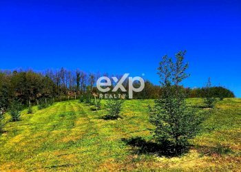 Villa Strada Valubbio, Cagli - photo 44