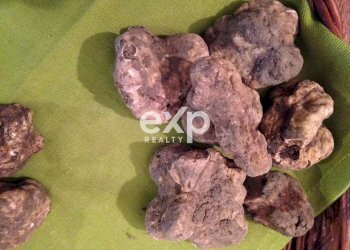 Villa Strada Valubbio, Cagli - photo 7