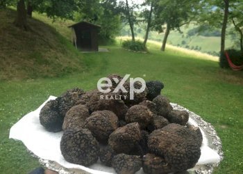 Villa Strada Valubbio, Cagli - photo 8