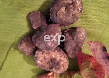 Villa Strada Valubbio, Cagli - photo 63