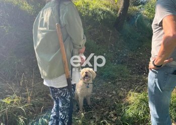 Villa Strada Valubbio, Cagli - photo 64