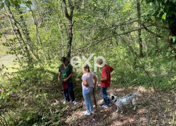 Villa Strada Valubbio, Cagli - photo 66