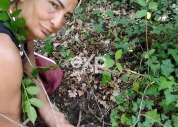 Villa Strada Valubbio, Cagli - photo 70