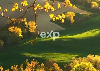 Villa Strada Valubbio, Cagli - foto 32