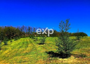 Villa Strada Valubbio, Cagli - foto 44