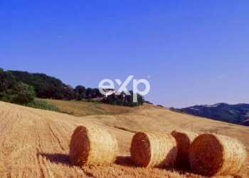 Villa Strada Valubbio, Cagli - foto 15