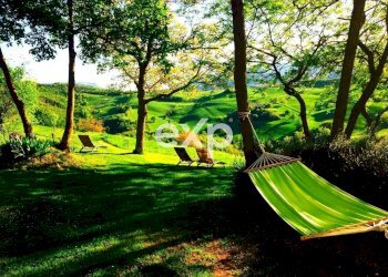 Villa Strada Valubbio, Cagli - foto 31