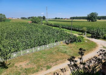 Porzione di casa Fossano - foto 3