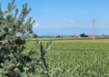 Porzione di casa Fossano - foto 6