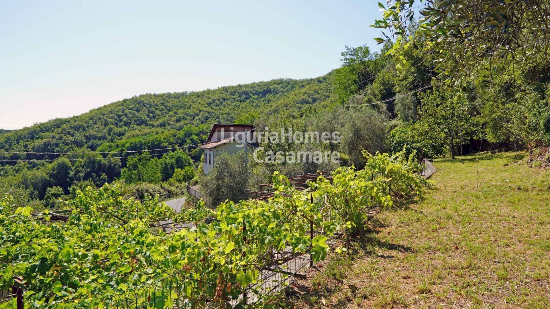 Foto 3 - Semi-detached house Strada ville San Pietro, Borgomaro - photo 3