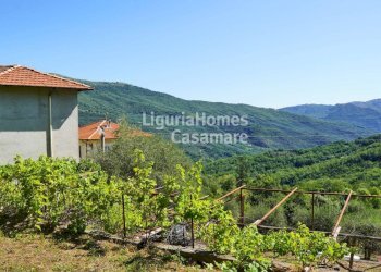 Foto 1 - Semi-detached house Strada ville San Pietro, Borgomaro - photo 1