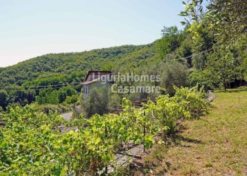 Foto 3 - Semi-detached house Strada ville San Pietro, Borgomaro - photo 3