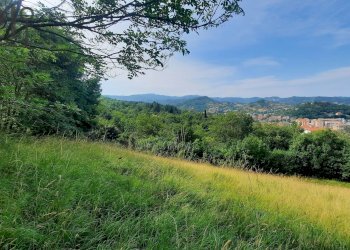 Foto 32 - Villa salita ciapasqua, Cairo Montenotte - foto 32