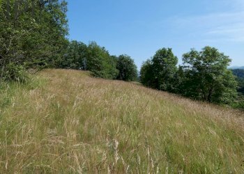 Foto 46 - Villa salita ciapasqua, Cairo Montenotte - foto 46