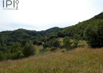 Foto 47 - Villa salita ciapasqua, Cairo Montenotte - foto 47