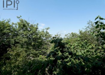 Foto 48 - Villa salita ciapasqua, Cairo Montenotte - foto 48