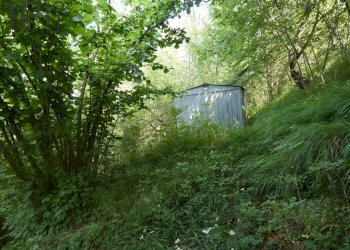 Foto 55 - Villa salita ciapasqua, Cairo Montenotte - foto 55