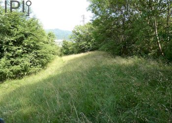 Foto 58 - Villa salita ciapasqua, Cairo Montenotte - foto 58