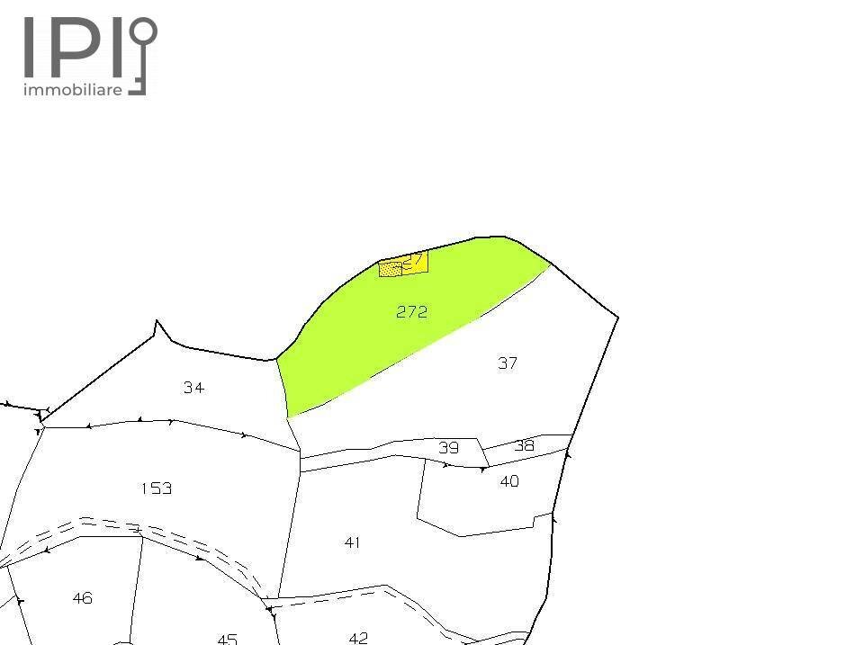 Foto 43 - Rustico località vengore, Roccaverano - planimetria 1