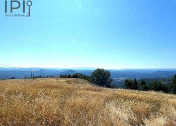 Foto 16 - Rustico località vengore, Roccaverano - foto 16