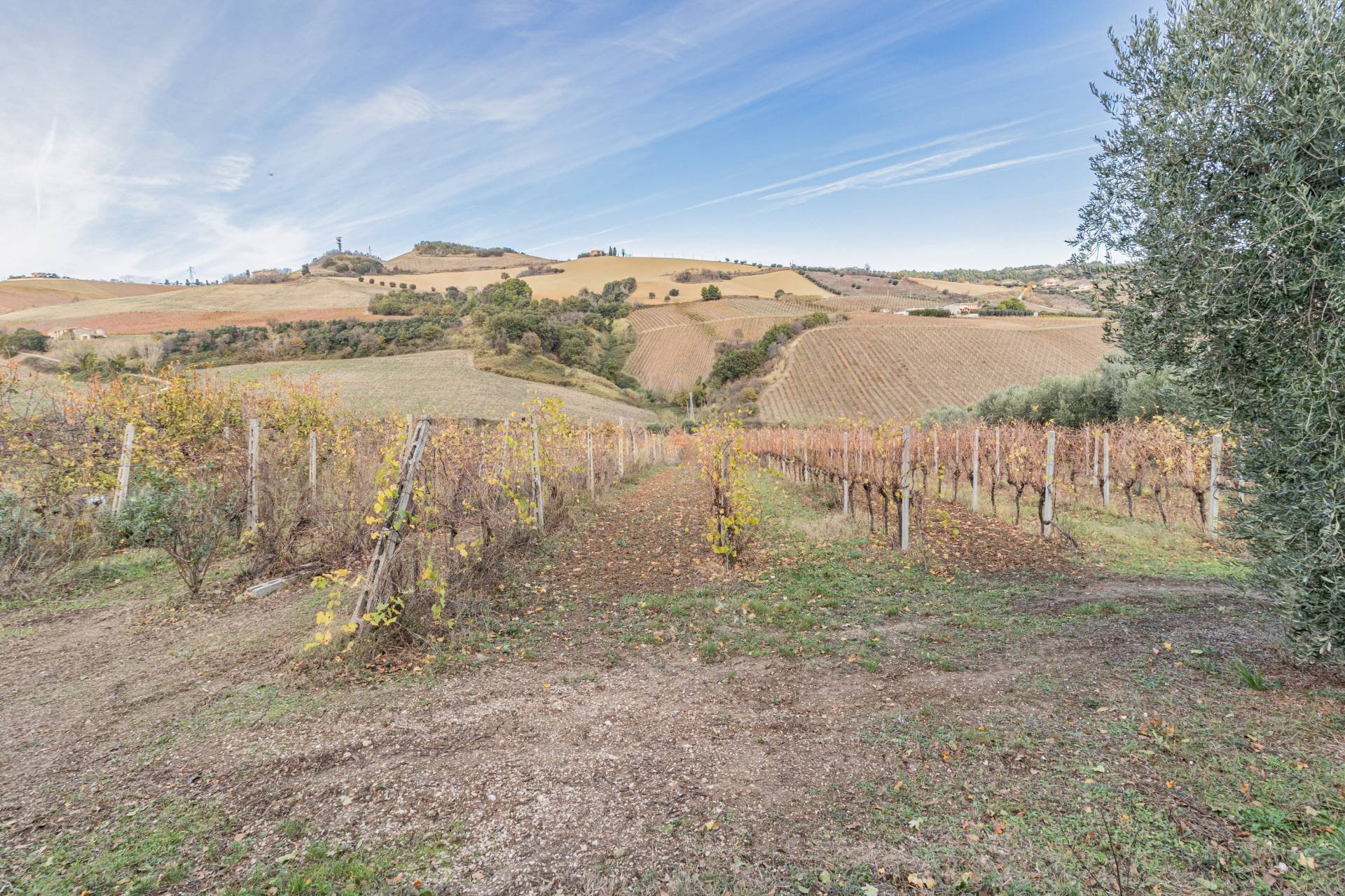 Foto 1 - Terreno agricolo snc, Acquaviva Picena - foto 1