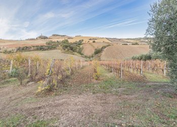 Foto 1 - Terreno agricolo snc, Acquaviva Picena - foto 1