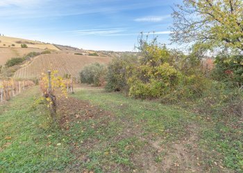 Foto 7 - Terreno agricolo snc, Acquaviva Picena - foto 7