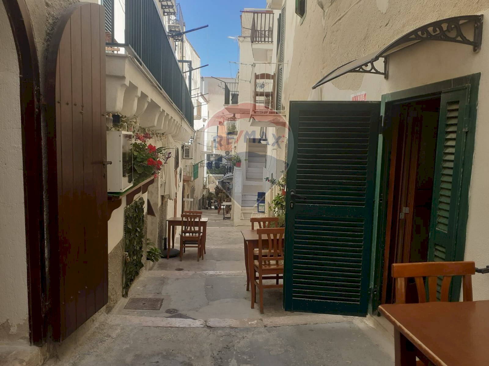 Edificio all\'aperto - Monolocale Via Celestino V
 
41, Vieste - foto 3