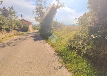 Terreno edificabile Via Al Piano, Carezzano - foto 3