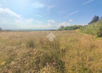 Terreno edificabile Via Al Piano, Carezzano - foto 8