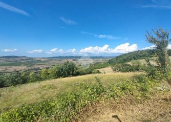 Terreno edificabile Via Al Piano, Carezzano - foto 16