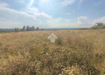 Terreno edificabile Via Al Piano, Carezzano - foto 19