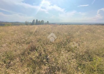 Terreno edificabile Via Al Piano, Carezzano - foto 23
