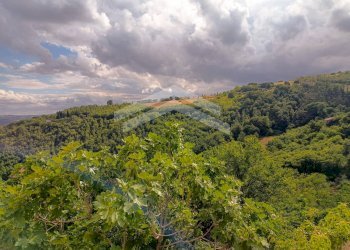 Foto 8 - Stabile - Palazzo via roma
 
snc, Castelbottaccio - foto 8