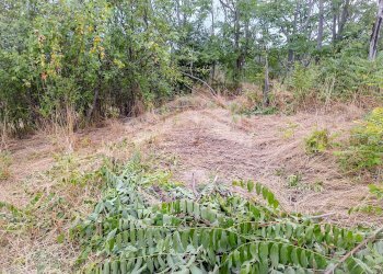 Foto 47 - Stabile - Palazzo via roma
 
snc, Castelbottaccio - foto 47