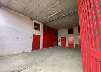 Shed Spirano - photo 7