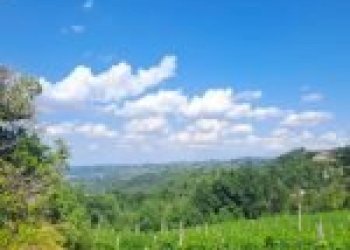 Agricultural land Canelli - photo 7