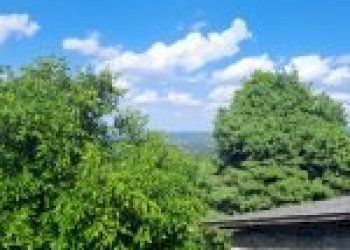 Agricultural land Canelli - photo 13